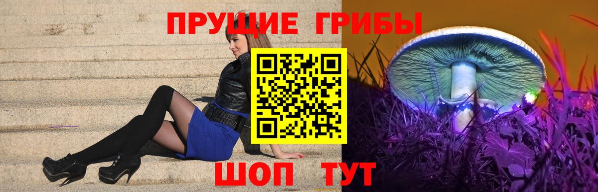 Псилоцибиновые грибы Cubensis  наркошоп  Усинск  Вход с VPN 